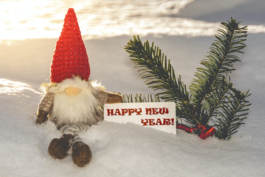 What I Want to Learn in the New Year Image