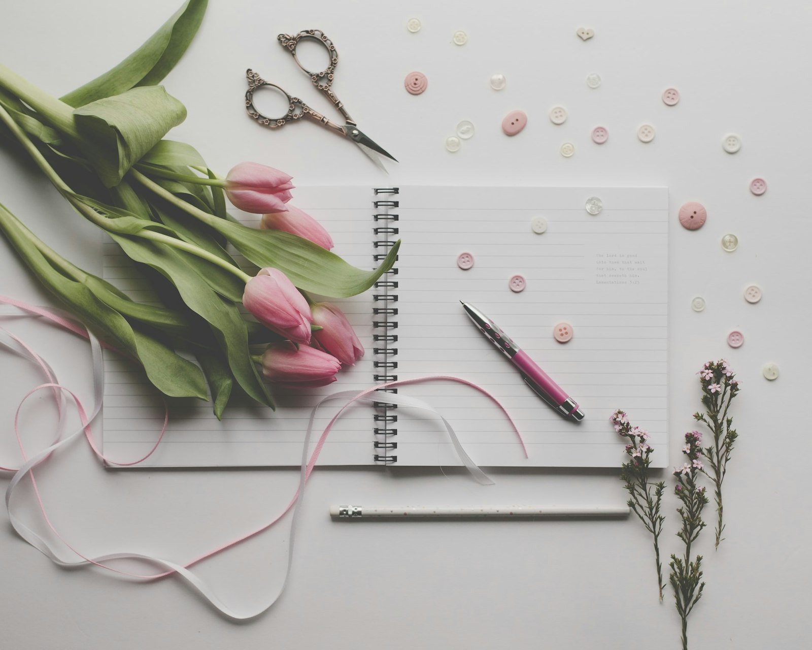 Sew a Pocketbook Primary Image