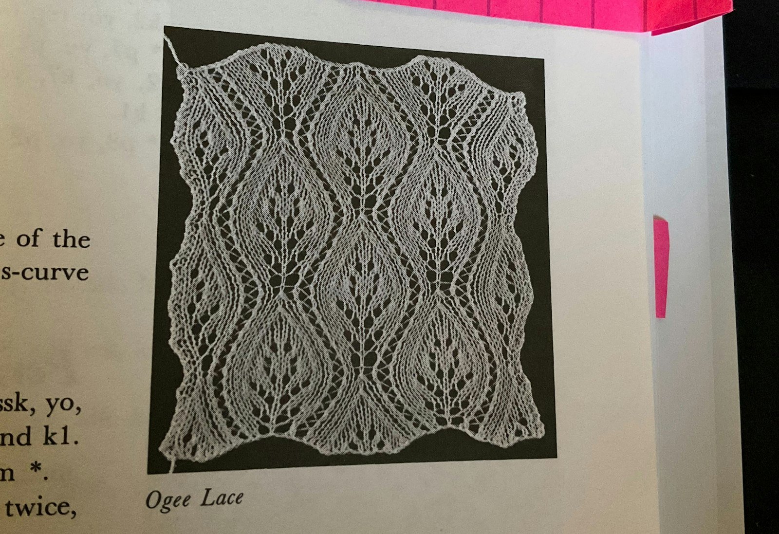 Dissection of a Lace Pattern Primary Image