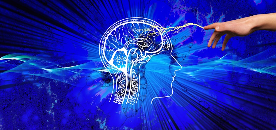 The Process of Being Creative  Image