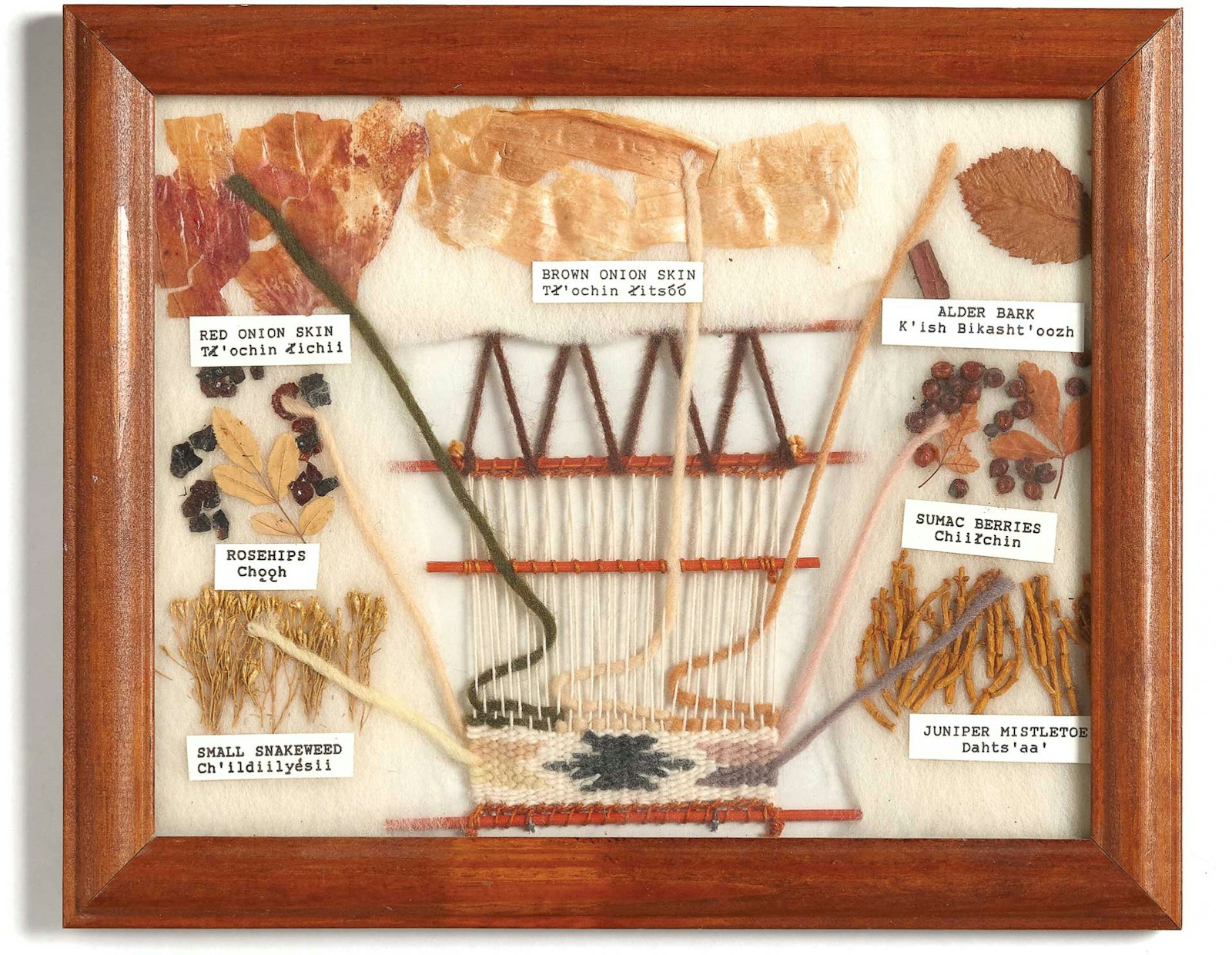 Learn How One Navajo Family Is Keeping Natural Dyeing Traditions Alive Primary Image