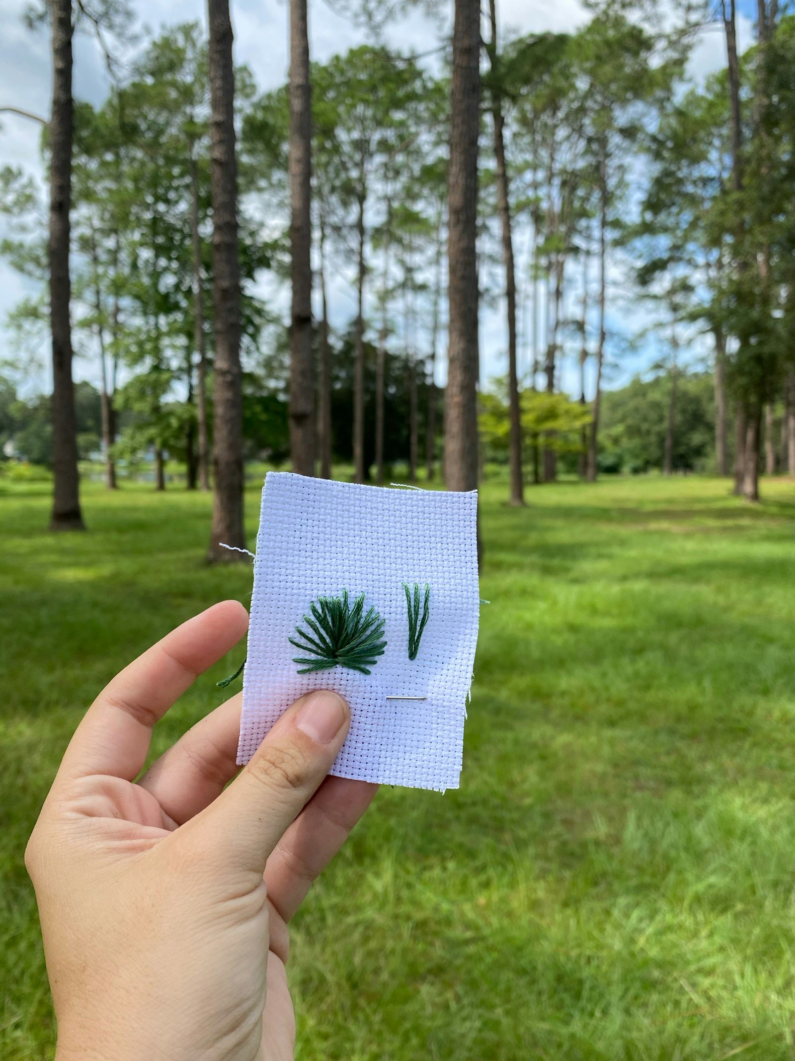 Creating an Embroidered Nature Journal Primary Image
