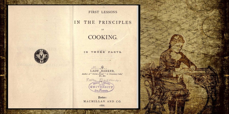 Twists & Turns: The Extraordinary Adventures of Lady Mary Anne Barker Image