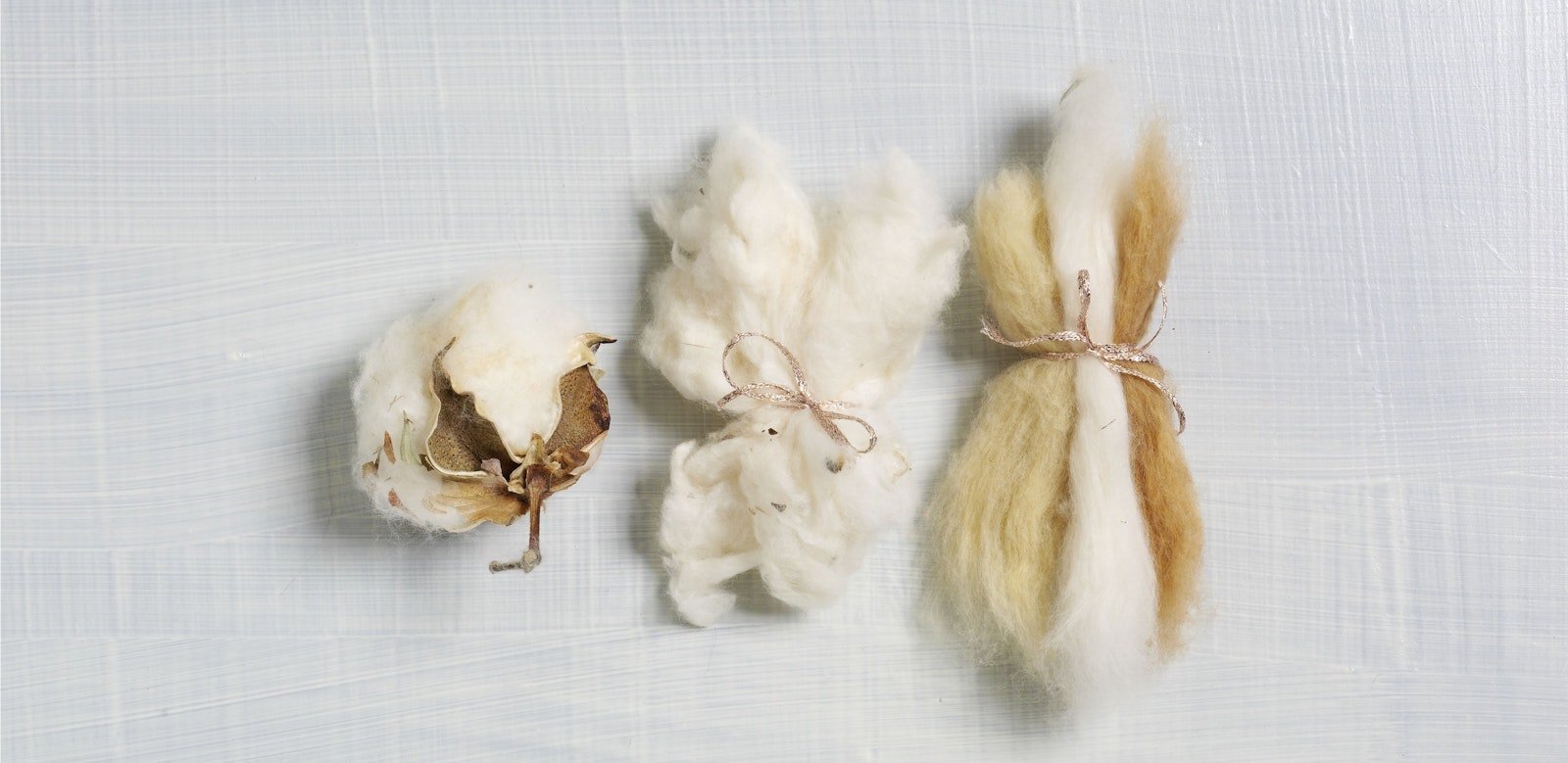 The History of Naturally Colored Cotton Primary Image