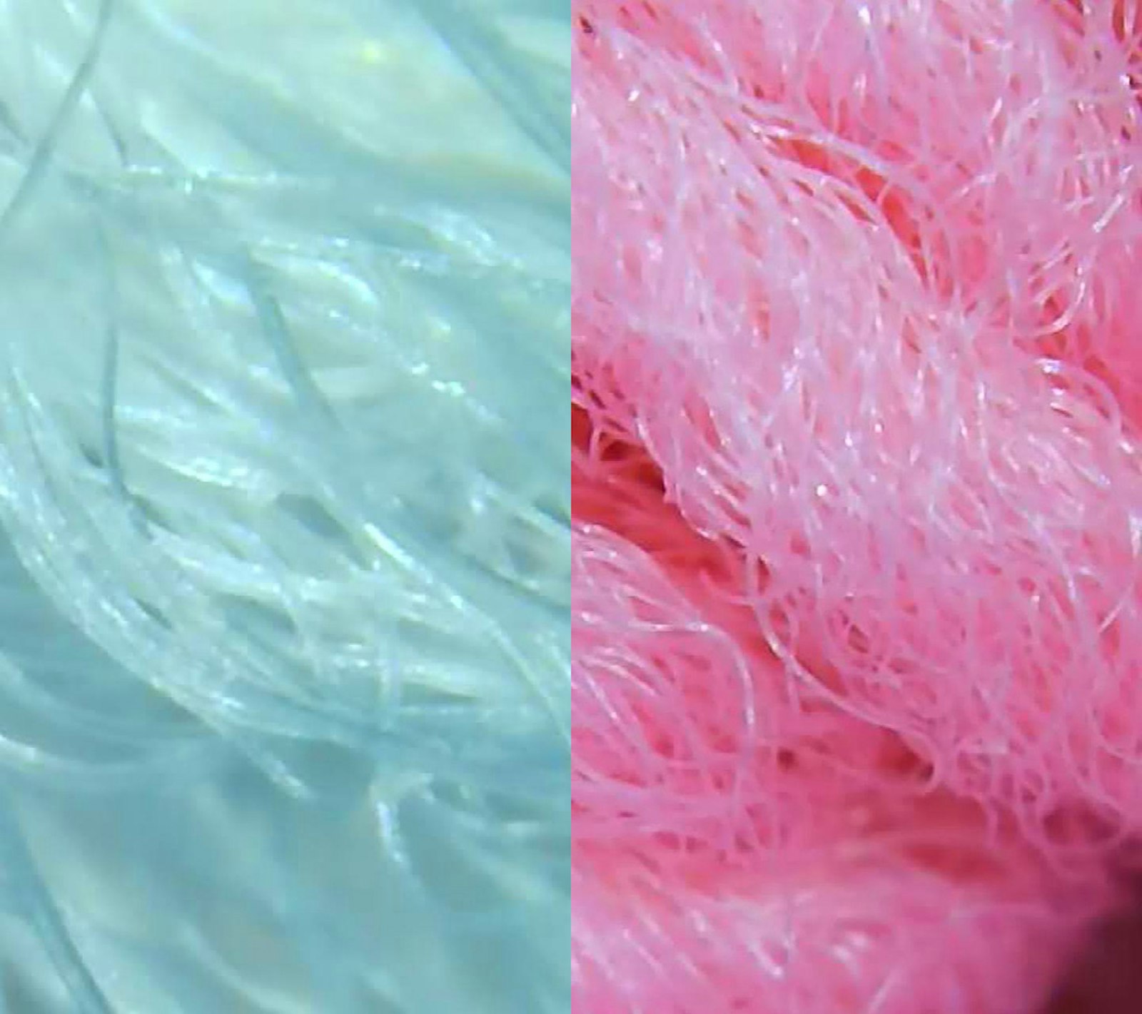 Why Man-Made Fibers May Make a Poor Choice for Heirloom Textiles Primary Image