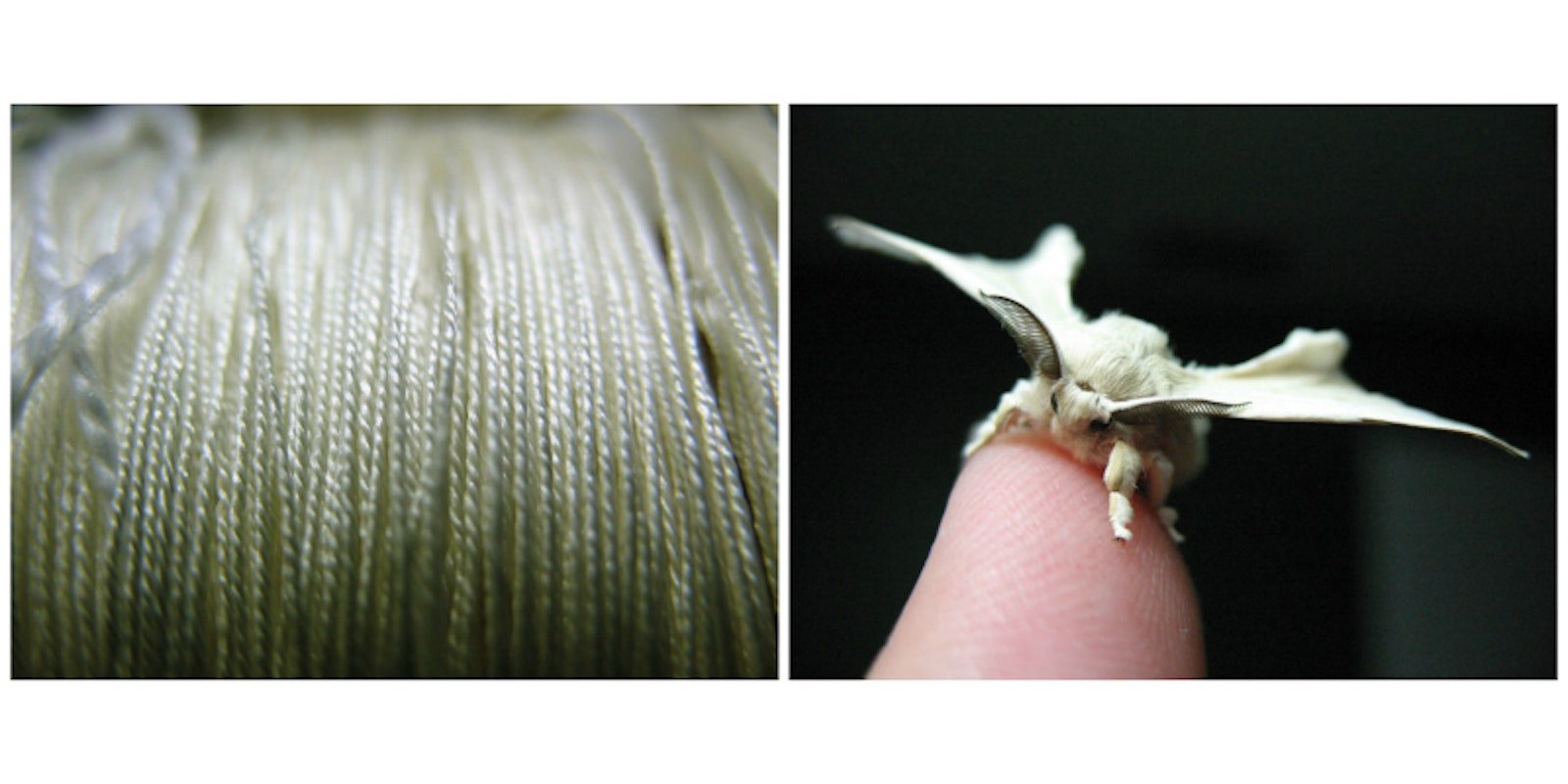 Making Silk for Embroidery Primary Image