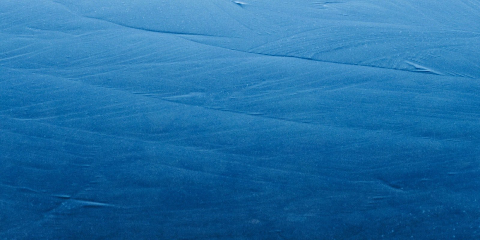 Woad and the Invention of Blue Primary Image