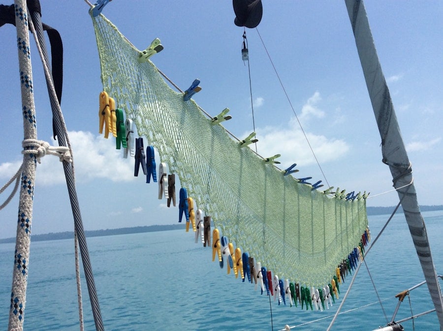 From Our Readers' Hands 2020 Image