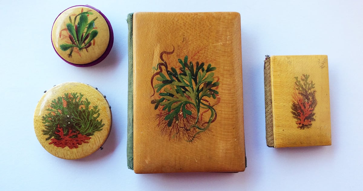 Mauchline Ware　モシュリンウェア Mauchline Ware: A Needleworker's Collection | PieceWork