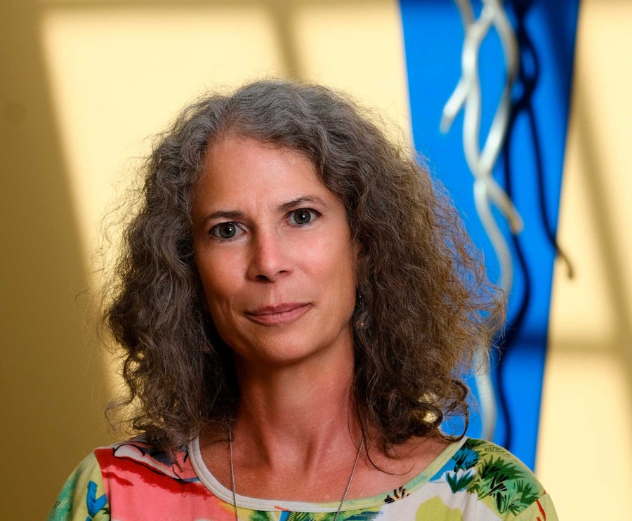 The Long Thread: Susan J. Jerome Image