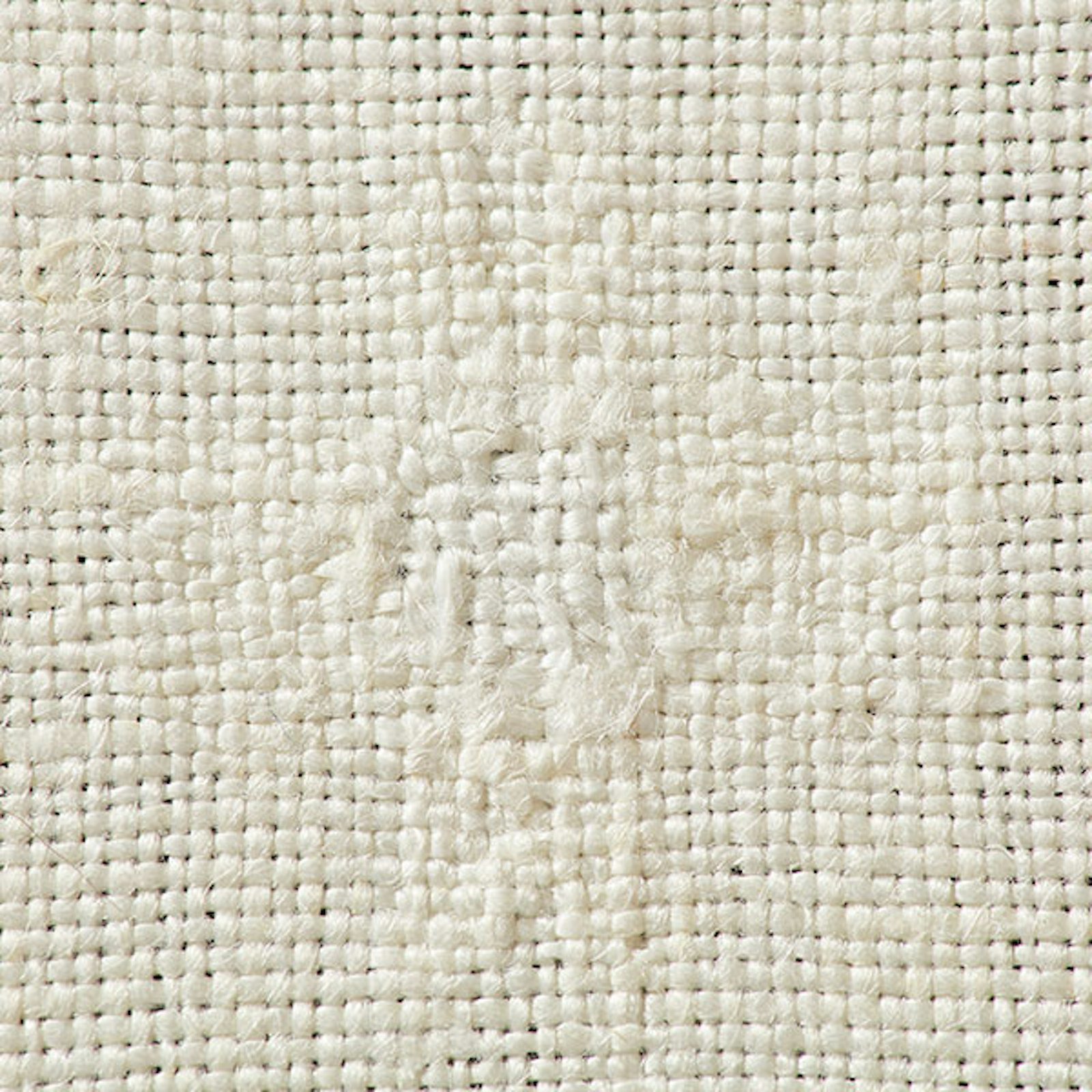 To Darn or Not to Darn Primary Image