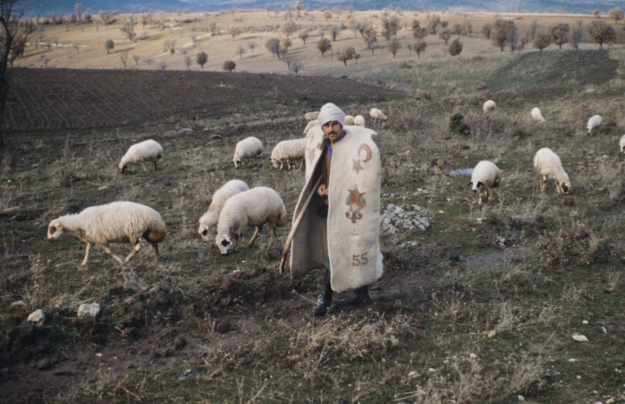 Explore the Making of Traditional Felt Textiles Around the Globe Image