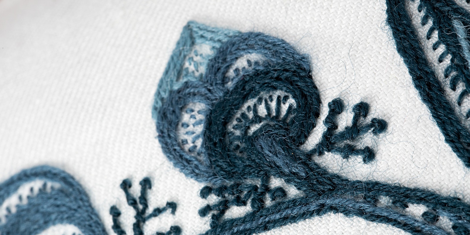 Why Wool? Primary Image