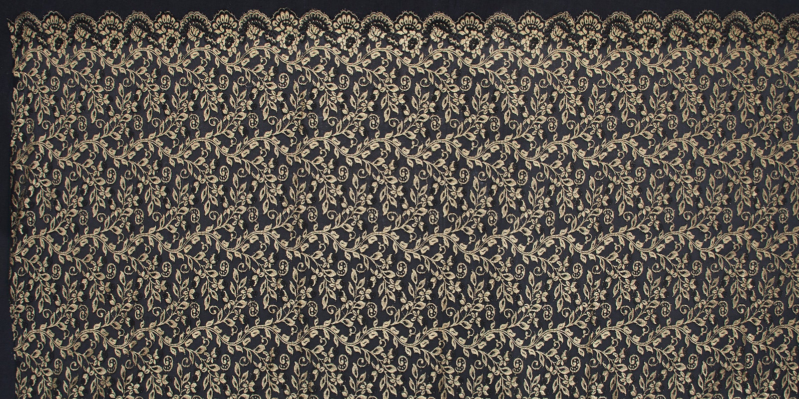 Chantilly Lace in India Primary Image