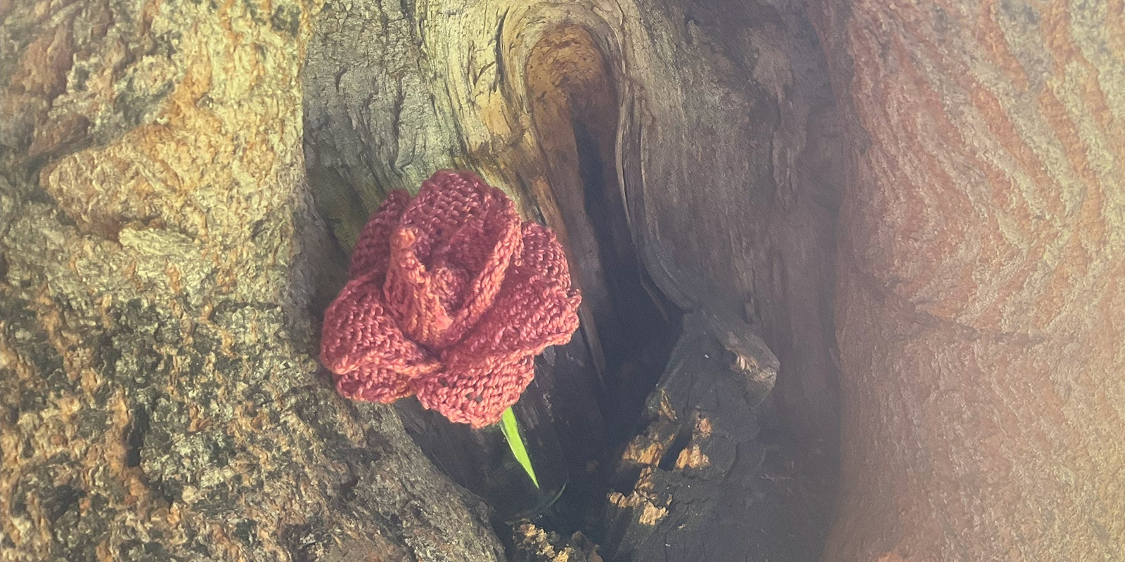 Grama’s Rose Garden Primary Image