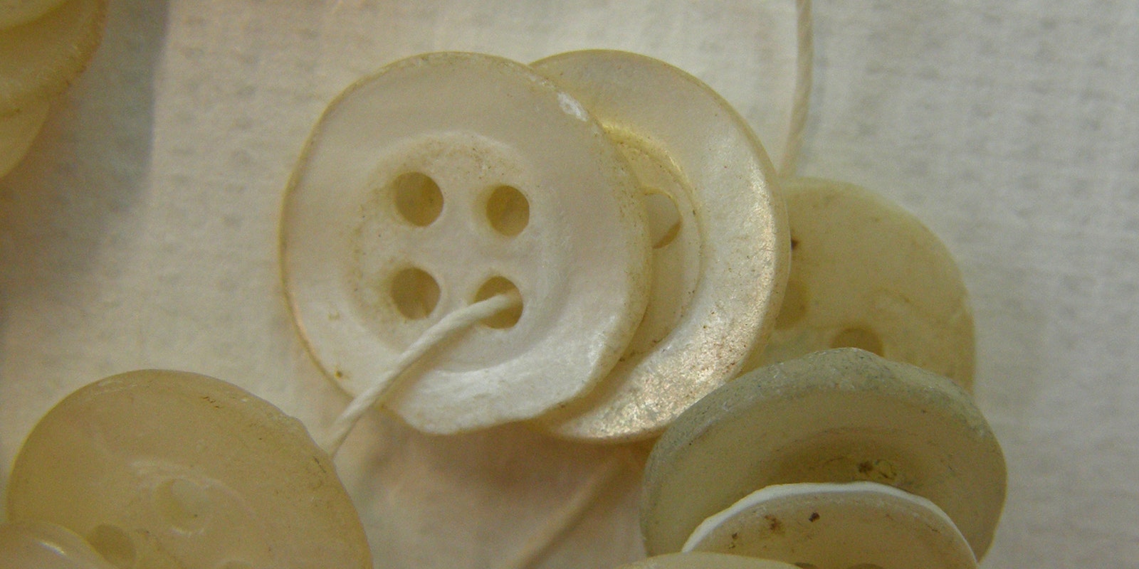 The Pearl-Button Fever: Fishing Fortunes from the Mississippi River Bend Primary Image